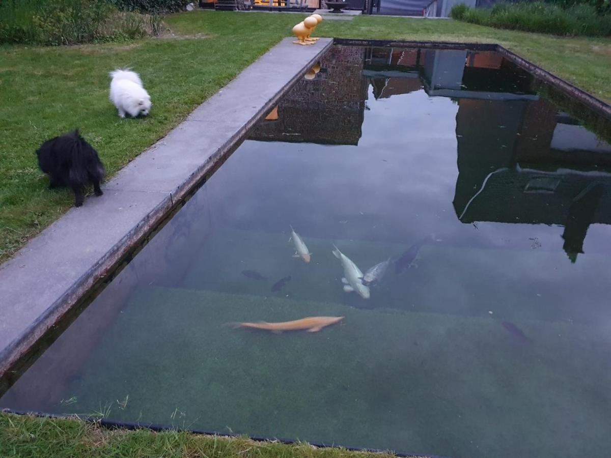Gezellige Moderne Woning Met Zwemvijver ハレ エクステリア 写真